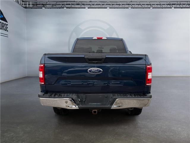2018 Ford F-150  (Stk: 15273) in Golden - Image 6 of 16