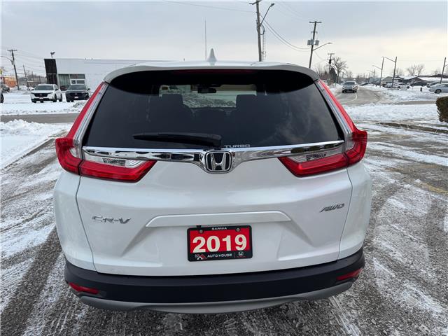 2019 Honda CR-V EX (Stk: 19029) in Sarnia - Image 2 of 8