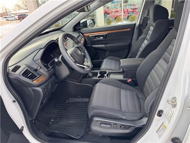2019 Honda CR-V EX (Stk: 19029) in Sarnia - Image 5 of 8