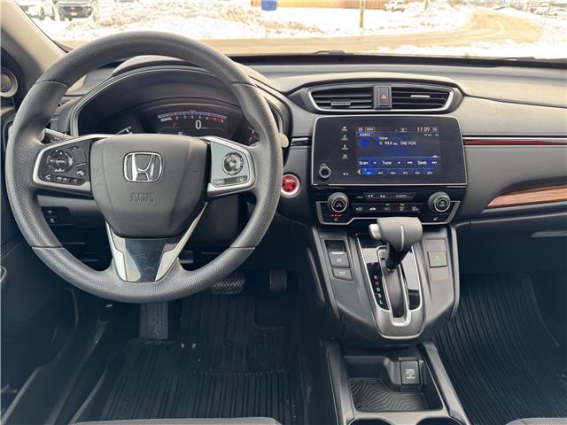 2019 Honda CR-V EX (Stk: 19029) in Sarnia - Image 8 of 8