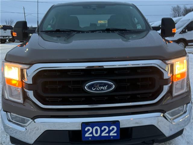 2022 Ford F-150 XLT (Stk: 2025-220A) in New Liskeard - Image 3 of 16