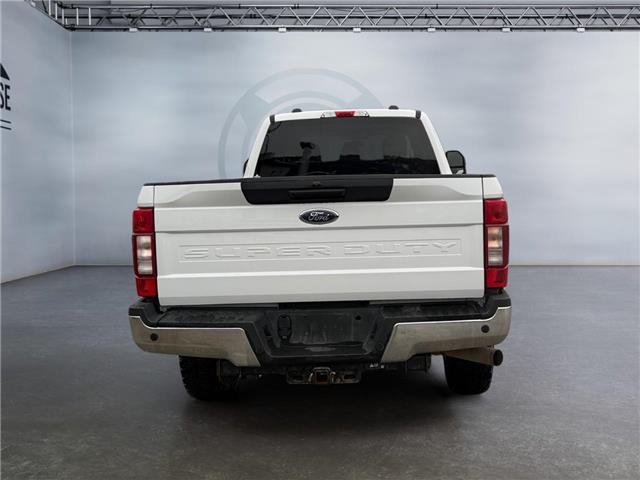2022 Ford F-350  (Stk: 15272) in Golden - Image 6 of 17