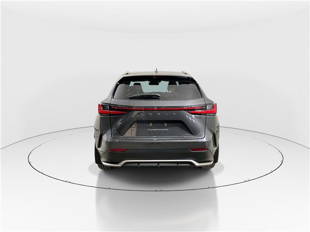 2026 Lexus NX 350  (Stk: 14111621) in Markham - Image 6 of 19