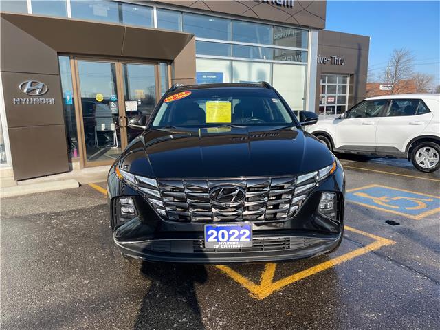 2022 Hyundai Tucson Hybrid Ultimate (Stk: T046A) in Chatham - Image 10 of 29