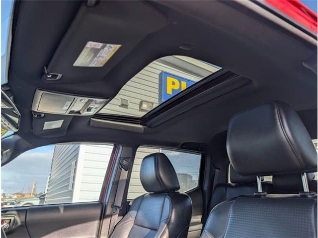 2023 Toyota Tacoma TRD Sport V6 (Stk: A895L) in Mount Pearl - Image 10 of 19