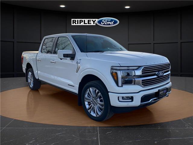 2025 Ford F-150 Platinum (Stk: 25454) in Melfort - Image 4 of 23