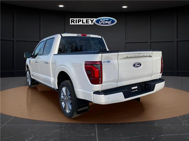 2025 Ford F-150 Platinum (Stk: 25454) in Melfort - Image 8 of 23