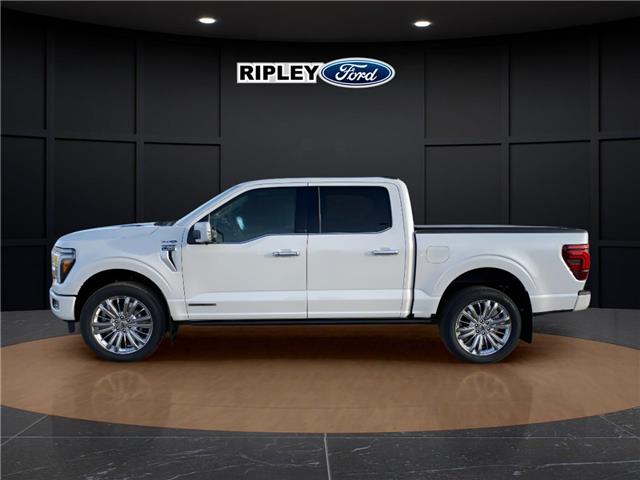 2025 Ford F-150 Platinum (Stk: 25454) in Melfort - Image 9 of 23