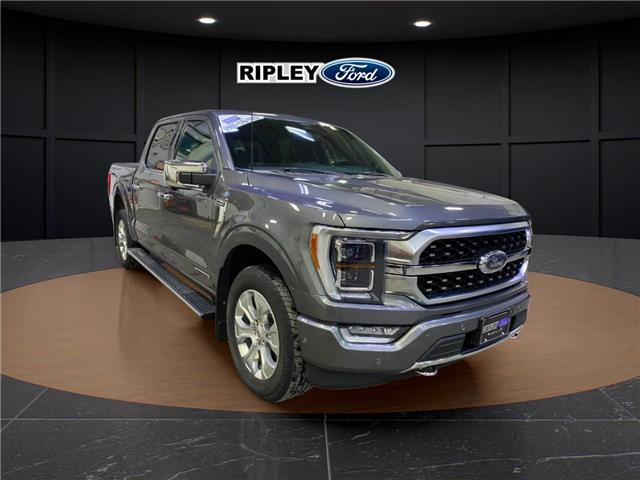 2022 Ford F-150 Platinum (Stk: 25496B) in Melfort - Image 3 of 15