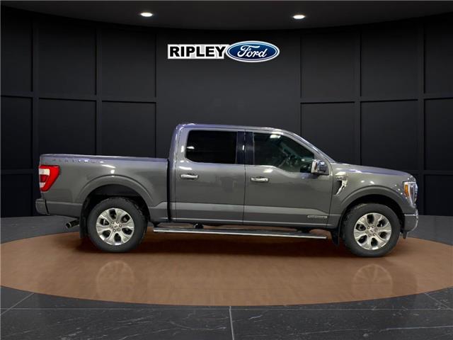 2022 Ford F-150 Platinum (Stk: 25496B) in Melfort - Image 4 of 15