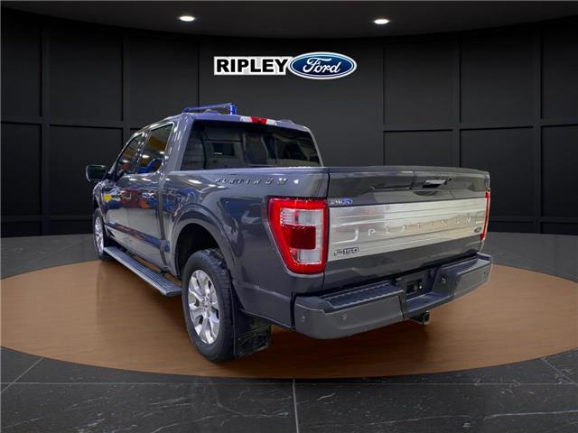 2022 Ford F-150 Platinum (Stk: 25496B) in Melfort - Image 7 of 15