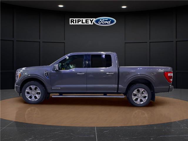 2022 Ford F-150 Platinum (Stk: 25496B) in Melfort - Image 8 of 15