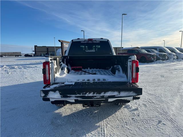 2026 Ford F-350  (Stk: T32232) in Hague - Image 8 of 14