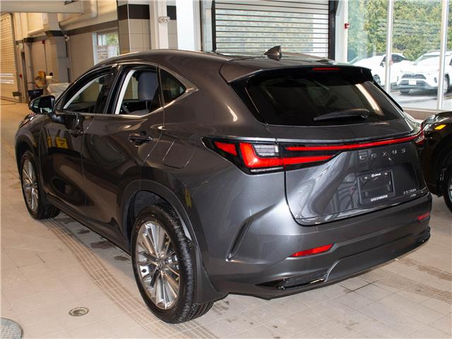 2026 Lexus NX 350 Base (Stk: 6953) in Kingston - Image 4 of 15