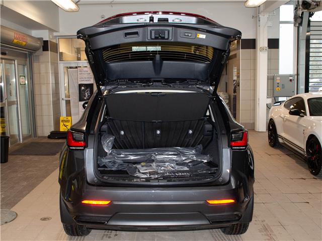 2026 Lexus NX 350 Base (Stk: 6953) in Kingston - Image 5 of 15