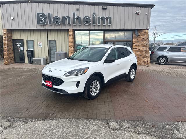 2022 Ford Escape SE (Stk: 5B110A) in Blenheim - Image 1 of 11