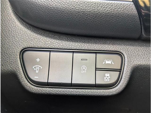 2023 Kia Seltos EX (Stk: M25990) in St. John's - Image 17 of 19 2023 Kia Seltos EX (Stk: M25990) in St. John's - Image 17 of 19