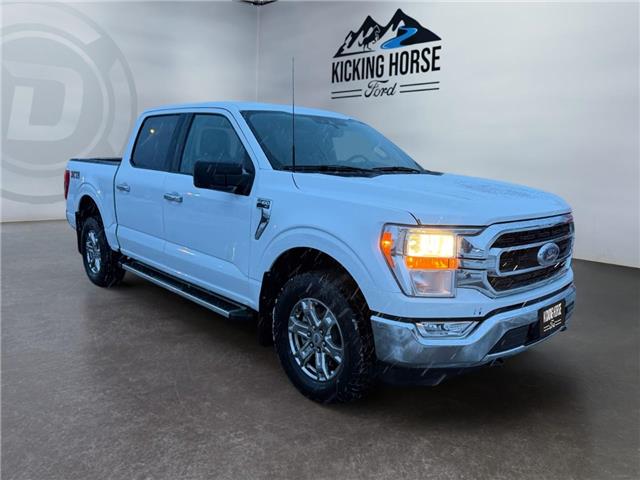 2023 Ford F-150  (Stk: 15264) in Golden - Image 3 of 17