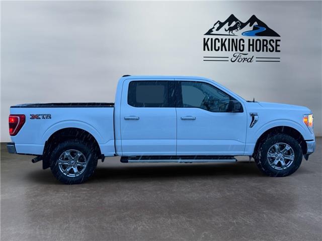 2023 Ford F-150  (Stk: 15264) in Golden - Image 4 of 17