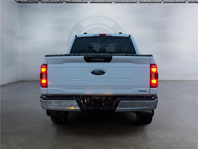 2023 Ford F-150  (Stk: 15264) in Golden - Image 6 of 17
