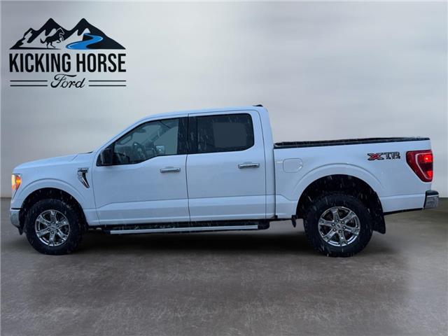 2023 Ford F-150  (Stk: 15264) in Golden - Image 8 of 17