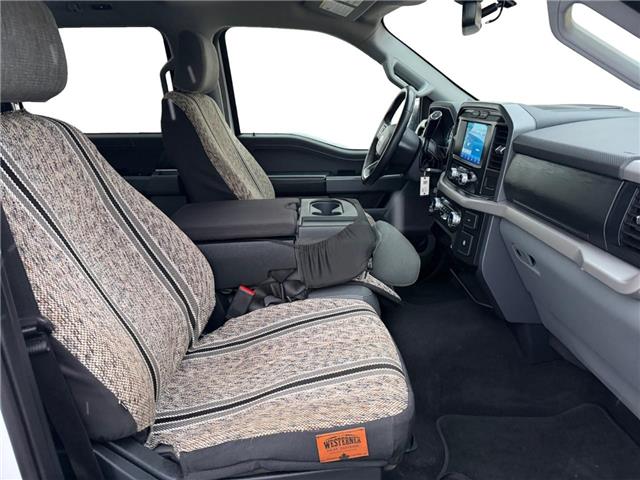 2023 Ford F-150  (Stk: 15264) in Golden - Image 15 of 17