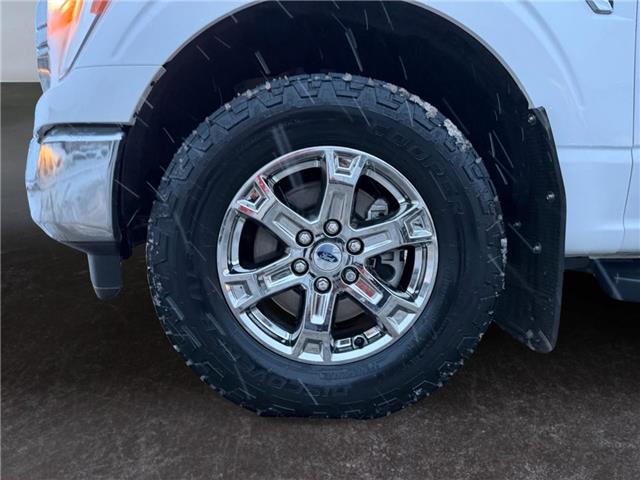 2023 Ford F-150  (Stk: 15264) in Golden - Image 16 of 17