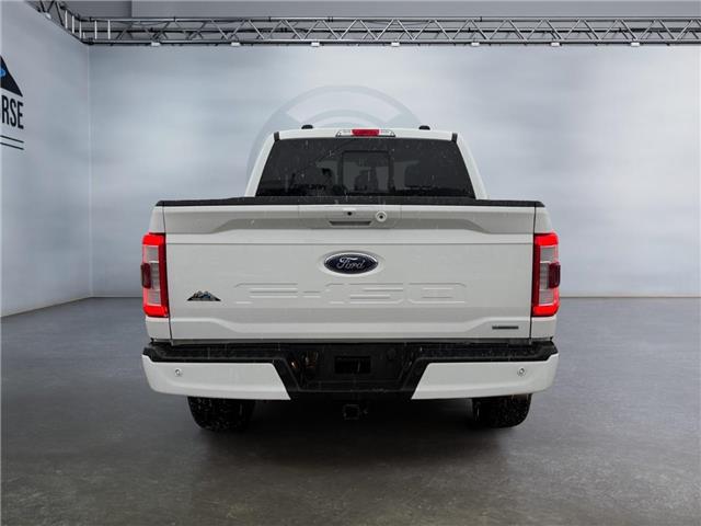 2023 Ford F-150  (Stk: 15258) in Golden - Image 6 of 17