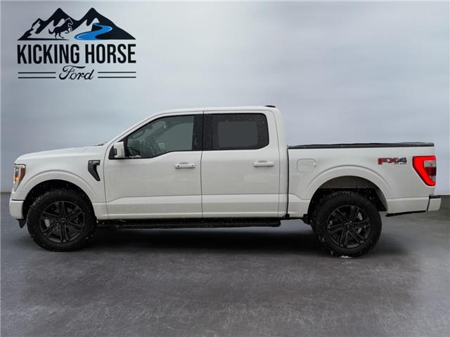 2023 Ford F-150  (Stk: 15258) in Golden - Image 8 of 17
