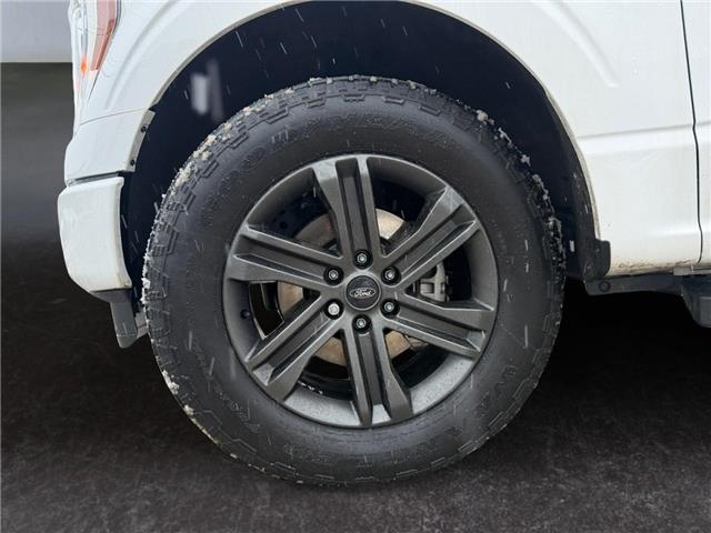 2023 Ford F-150  (Stk: 15258) in Golden - Image 16 of 17
