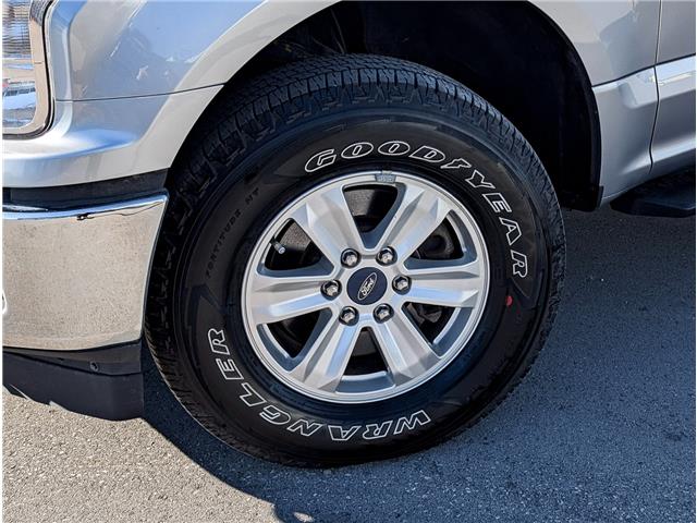 2020 Ford F-150 XLT (Stk: P2235) in BELLEVILLE - Image 7 of 19