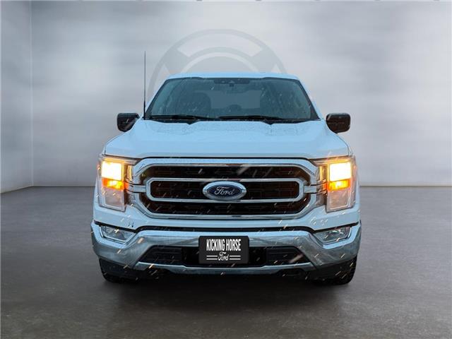 2023 Ford F-150  (Stk: 15264) in Golden - Image 2 of 17