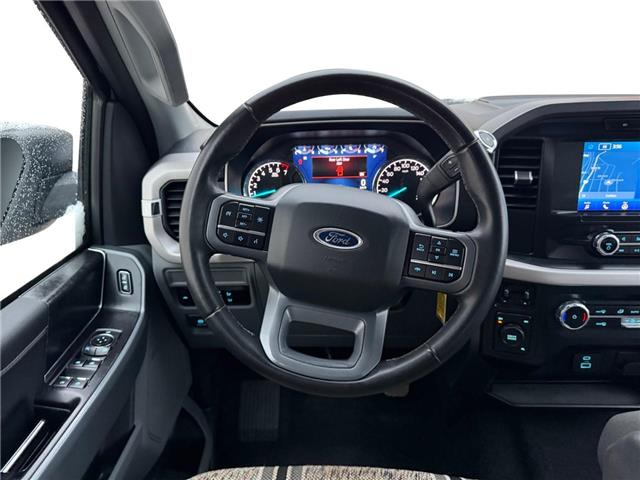 2023 Ford F-150  (Stk: 15264) in Golden - Image 10 of 17