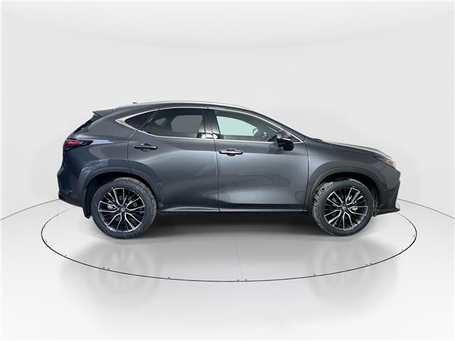 2026 Lexus NX 350h  (Stk: 14111730) in Markham - Image 8 of 20