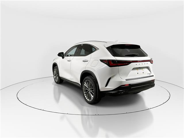 2026 Lexus NX 350h  (Stk: 14111797) in Markham - Image 5 of 20