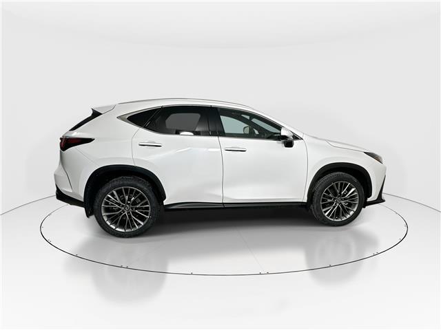 2026 Lexus NX 350h  (Stk: 14111797) in Markham - Image 8 of 20