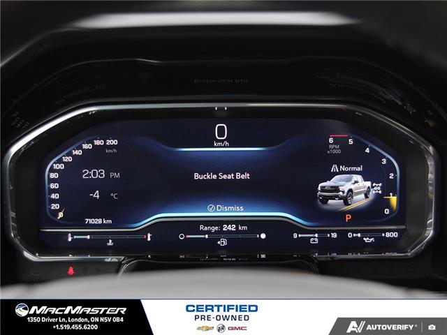 2024 Chevrolet Silverado 1500 LT Trail Boss (Stk: 260150A) in London - Image 18 of 30