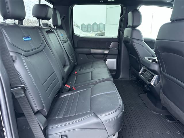 2026 Ford F-350 (Stk: T18100) in Hague - Image 13 of 14 2026 Ford F-350 (Stk: T18100) in Hague - Image 13 of 14