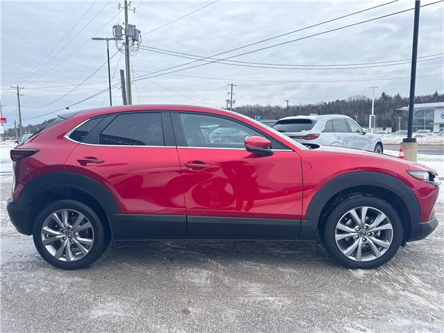 2022 Mazda CX-30 GS (Stk: 03666P) in Owen Sound - Image 6 of 23