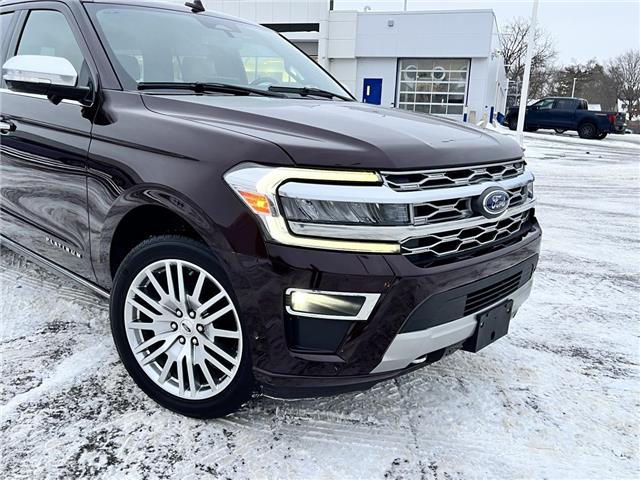 2024 Ford Expedition Max Platinum (Stk: DU8248T) in Ottawa - Image 3 of 17