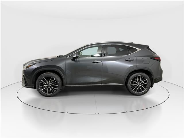 2026 Lexus NX 350h  (Stk: 15105386) in Richmond Hill - Image 4 of 21