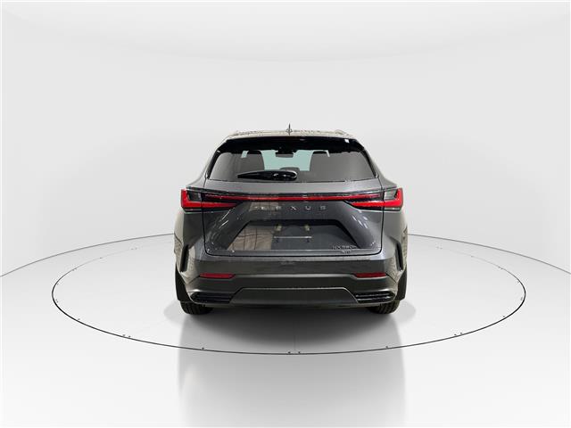 2026 Lexus NX 350h  (Stk: 15105386) in Richmond Hill - Image 6 of 21