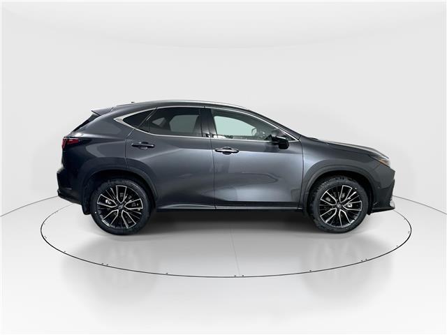 2026 Lexus NX 350h  (Stk: 15105386) in Richmond Hill - Image 8 of 21