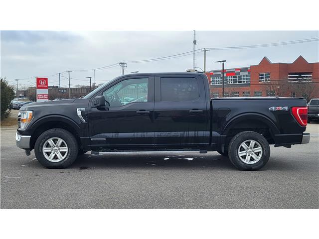 2021 Ford F-150 XLT (Stk: N106532A) in Saint John - Image 3 of 13