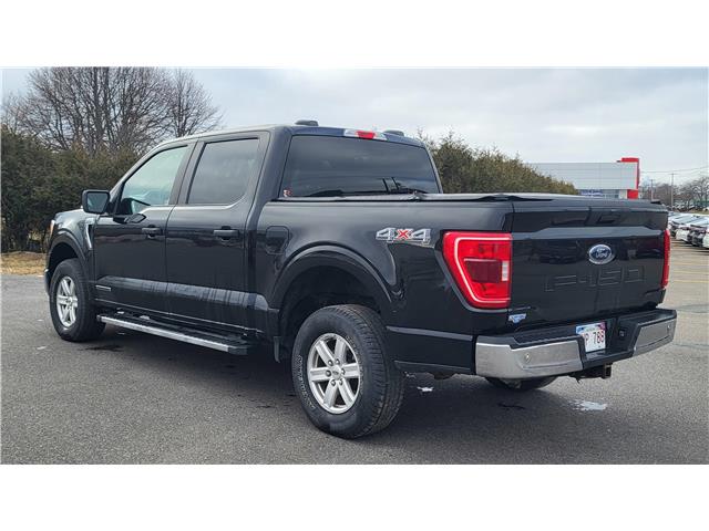 2021 Ford F-150 XLT (Stk: N106532A) in Saint John - Image 4 of 13