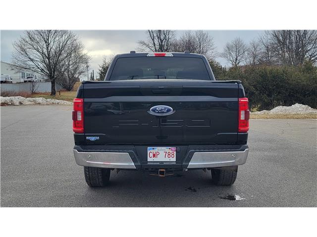 2021 Ford F-150 XLT (Stk: N106532A) in Saint John - Image 5 of 13