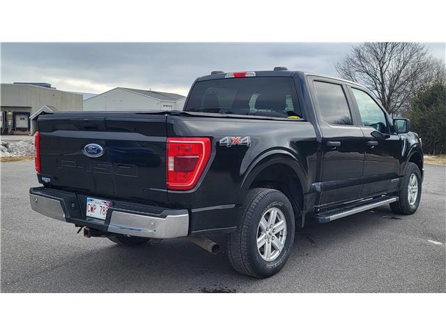 2021 Ford F-150 XLT (Stk: N106532A) in Saint John - Image 6 of 13
