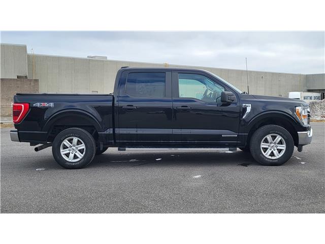 2021 Ford F-150 XLT (Stk: N106532A) in Saint John - Image 7 of 13