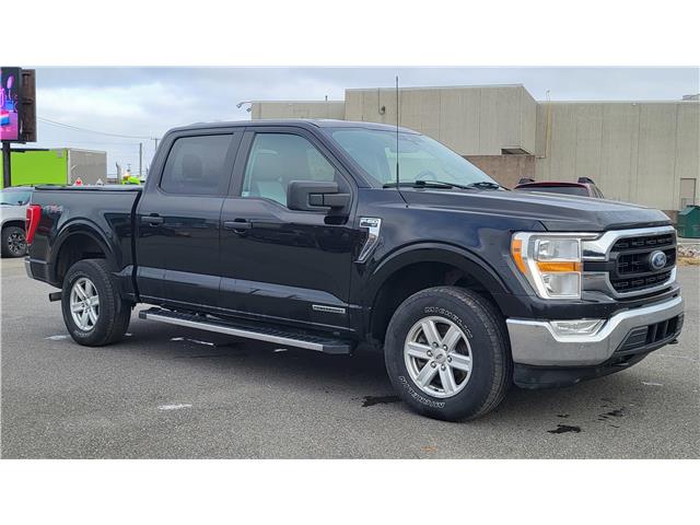 2021 Ford F-150 XLT (Stk: N106532A) in Saint John - Image 9 of 13