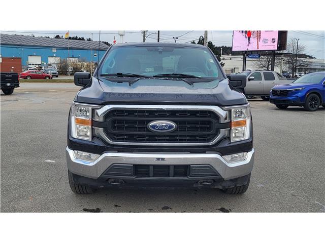 2021 Ford F-150 XLT (Stk: N106532A) in Saint John - Image 10 of 13